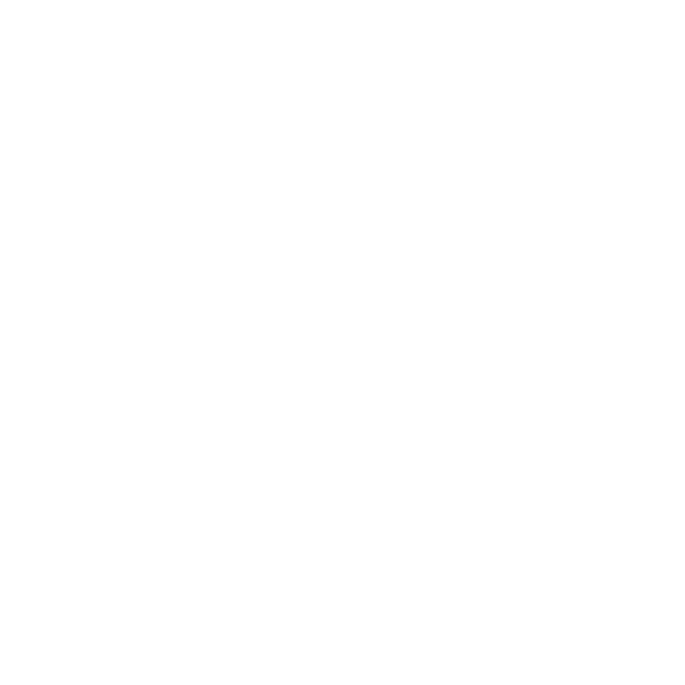 Neo Volt Logo